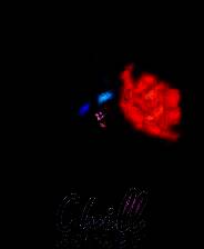 《Chill Corner》官方版