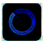 速快文件搜索v1.1.0.1