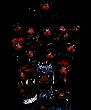 《狐の旅路》官方版