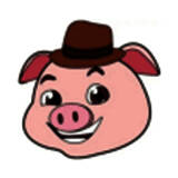 猪猪软件库 2.5安装包 V2.5