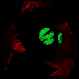 代号：撤离 官网入口 V1.1.19.1092