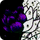 按数字填色本 最新版 V1.1