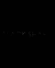 《黑碎片》 v20250516升级档+未加密补丁[TENOKE]