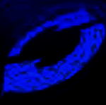 PaintShop X9清理工具