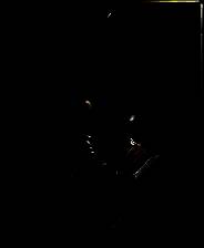 《CRIXUS: Life of free Gladiator》免安装中文版