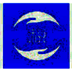 山东省自然人税收管理系统扣缴客户端v3.1.037