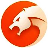 猎豹安全浏览器电脑版8.0.0.22226