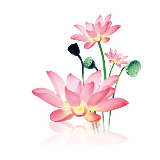 水墨工具箱 app官方网站入口 V1.1.8