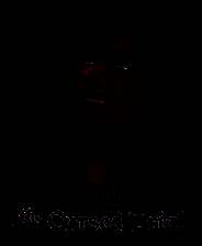 《Demonheart：The Cursed Trial》官方版