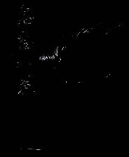 《鬼谷八荒》五十四项修改器[3DM][2025.06.24更新]