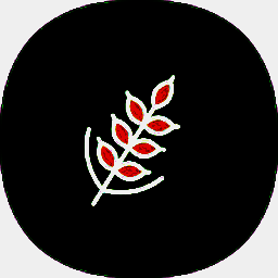 麦子下载 官方最新版 V3.0.4