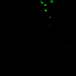 不要尖叫 官方版 V0.0.3