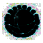 离线投标工具v3.3