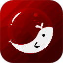 泡泡app 苹果版 V1.2