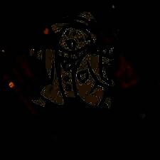 麻瓜纸牌 手机版 V1.2.2