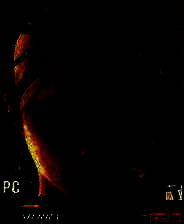 《家园2》免安装中文版