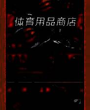 《体育用品商店》电脑版