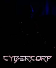 《赛博军团》 v20250609升级档+未加密补丁[TENOKE]