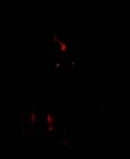 《午夜漫步》官方版