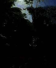 《恐龙世界》免安装中文版