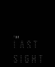 《The Last Sight》免安装版