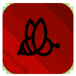 《蜜蜂剪辑》最新版