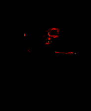 《看墓人》免安装中文版