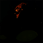 PVZ新指导版 V1.0