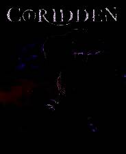 《寇瑞登》 v1.2.10升级档+未加密补丁[RazorDOX]