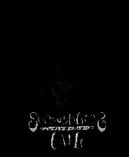 《薛定谔的电话》电脑版