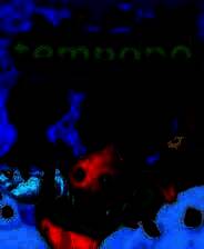 《Tempopo》中文版免安装
