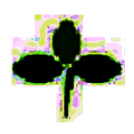 三叶草学考模拟系统v4.06