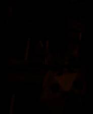 《蜜蜂岛》 v20250512升级档+未加密补丁[TENOKE]