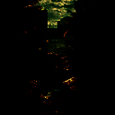 生存主义者：入侵 MOD版 V0.0.616