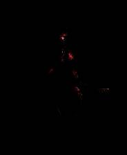 《赛科诺逃脱》官方版