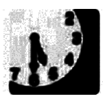 小黑屋强制码字软件v6.1.0.5