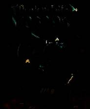 《当铺人生传奇》中文版免安装