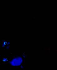 《Sintopia》电脑版