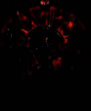 《圣歌德嘉的晚钟》官方版