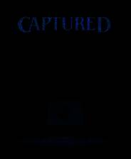 《捕捉》官方版