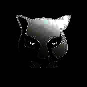 野兽骑行 V2.10.2