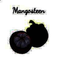 山竹社区 安卓版 V3.4.1