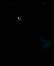 《伏魔行者》官方版