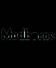 《Mudborne》试玩版