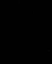 《囍》 v2.2.12升级档+未加密补丁[TENOKE]