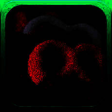 甜品点心的1000种做法 V1.9