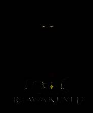 《FATE: Reawakened》免安装中文版