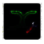 键鼠助手免费版