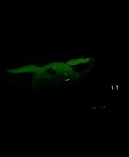 《龙堂轶事：刷刷聊聊》官方版