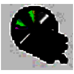 说文解字全文检索系统v2.0